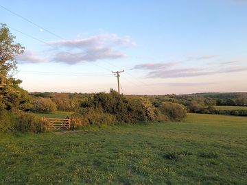 Natural cornish hedging for shelter
