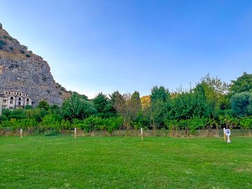 Pitches backed by trees and craggy cliffs