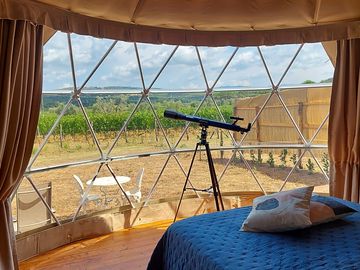 Bedroom with views of the vines