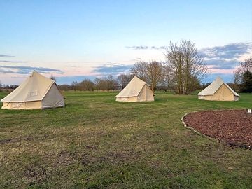 Our birds of prey tents