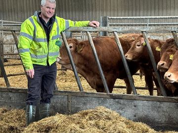 The owner and cattle