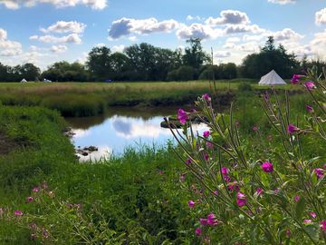 Wild camping with loads of space for everyone
