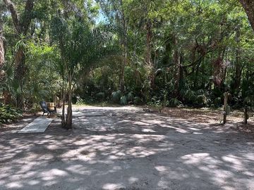 Lots of shade under the trees