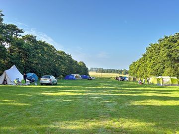 Tent pitches
