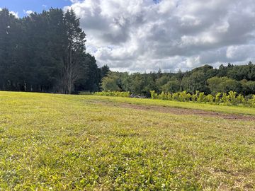 A lovely day on site