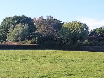 The kitchen field