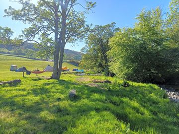 Sunny afternoon, by the beck