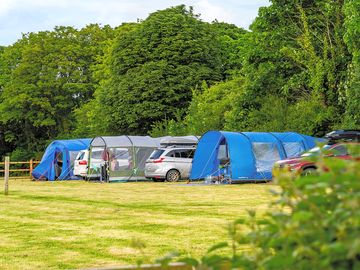 Large grass tent pitches (added by manager 30 may 2024)