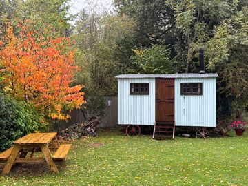 Autumn colours outside the shepherd's hut