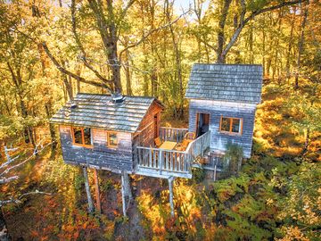 Treehouses surrounded by foliage
