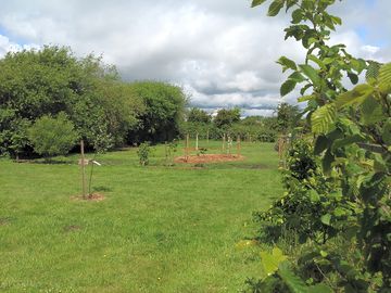 Camping field