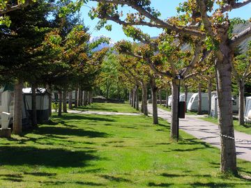 Orderly rows of grass pitches