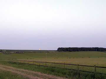 The view