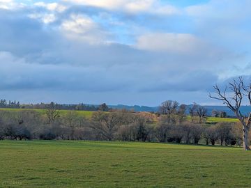 Rural views