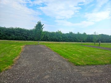 Campervan pitches sheltered by high hedges