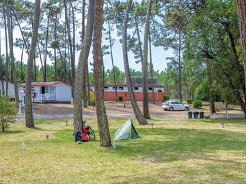 Campsite area