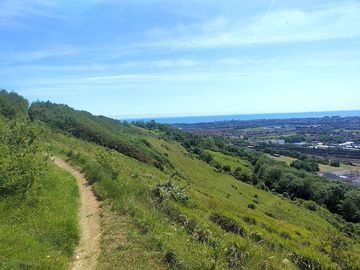 Local walking routes