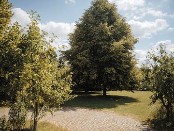 Paved entrance to the site