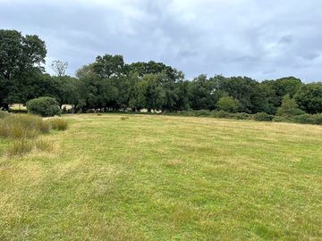 Picture of the back field with wild areas as well as mowed tent spaces. (added by manager 28 jul 2023)