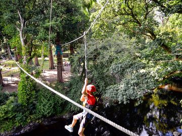 High ropes course across the river dart