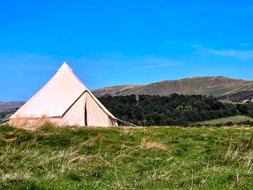 Bell tent pitched up on our farm