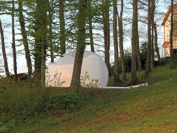 Bubble room