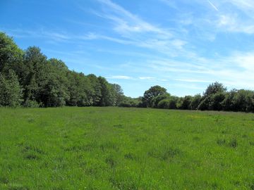 Looking over the glamping meadow