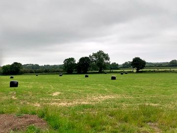 Spacious grass pitches