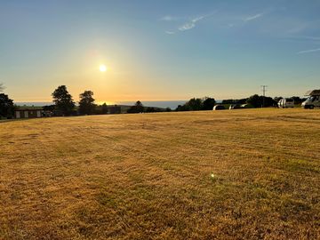 A view over the site