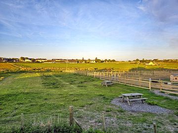 Pitches and picnic tables