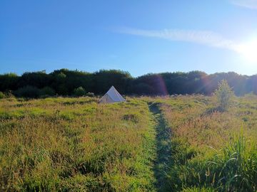 Bell tent in the meadow