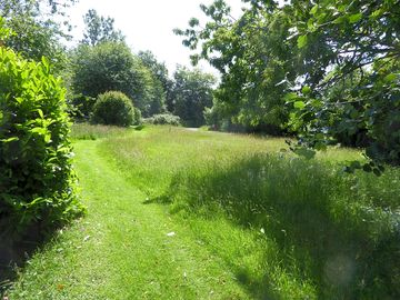 Camping field