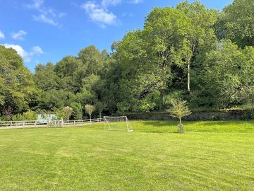 Grassy area