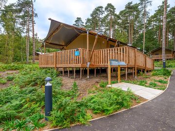Safari tent set amongst the trees of the royal estate