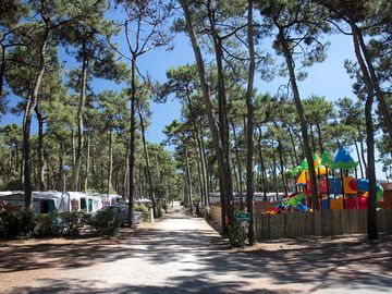 View of the camping area