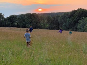 Guests in the fields at sunset