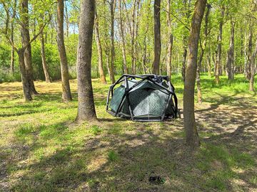 Tent on a forest pitch