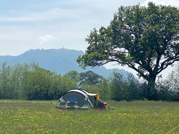 Camping meadow