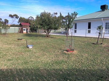 Orchard and kids playground