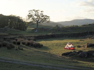Pitch among the greenery
