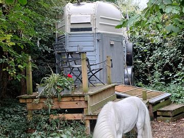 Exterior of the unit with our lovely pony