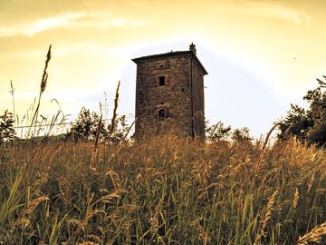 View of the tower