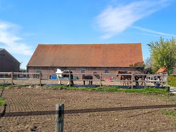 Riding arena
