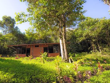 Bungalow exterior