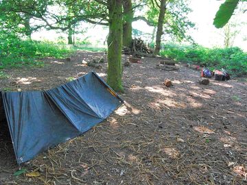 Woodland camp