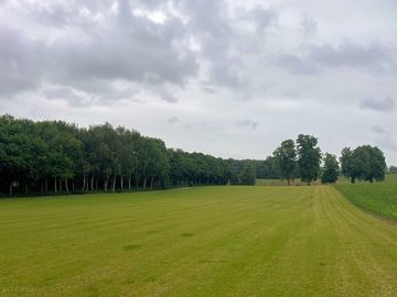Spacious grass pitching area