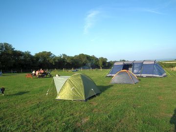 One of the fields