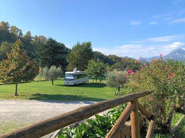 Pitches among the trees