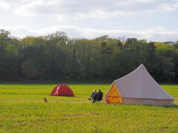 Bell tent on the grass