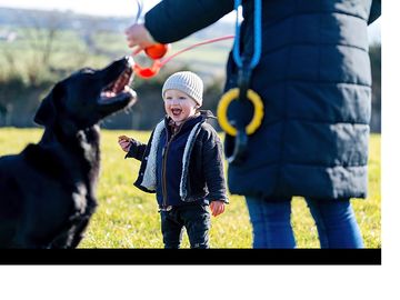 Everybody can enjoy the secure dog walking paddock